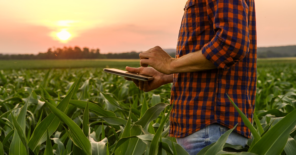 Why Big Data is Crucial for Modern Agriculture
