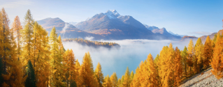 switzerland webpage